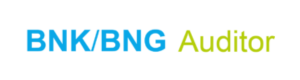 BNK-BNG Auditor BNK-BNG Auditor Logo